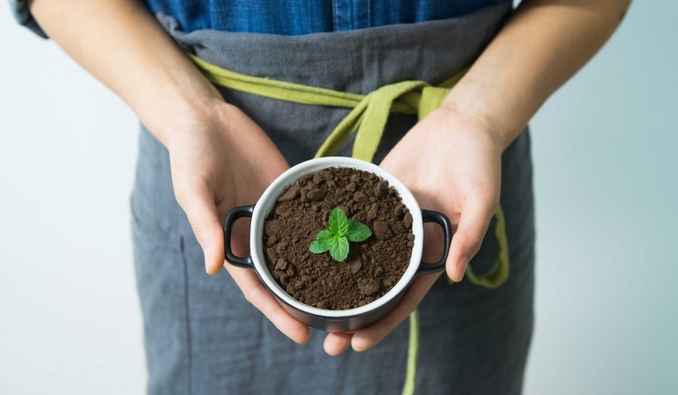 "Szkoła przyjazna klimatowi" – zakończenie inwestycji proekologicznej